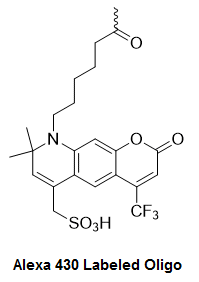 Bio-Synthesis Inc. Oligo Structure